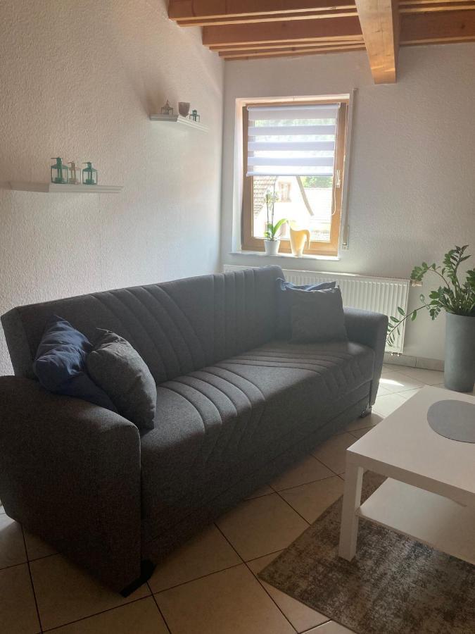Dz Im Haus Maja Apartment Holzkirchen  Ngoại thất bức ảnh